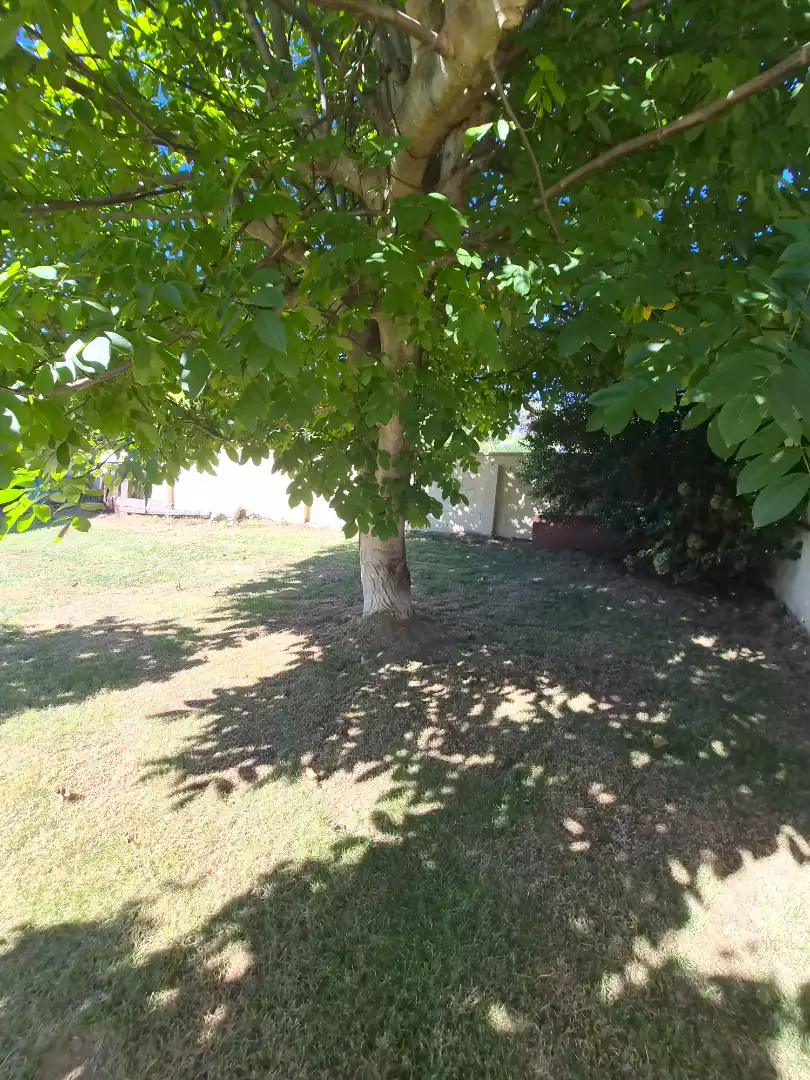 Villa con terrazza in vendita a Rúa Benito Feijóo, imagen 4