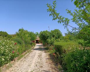 Finca rústica en venda en Puerto Real amb Aire condicionat, Terrassa i Piscina