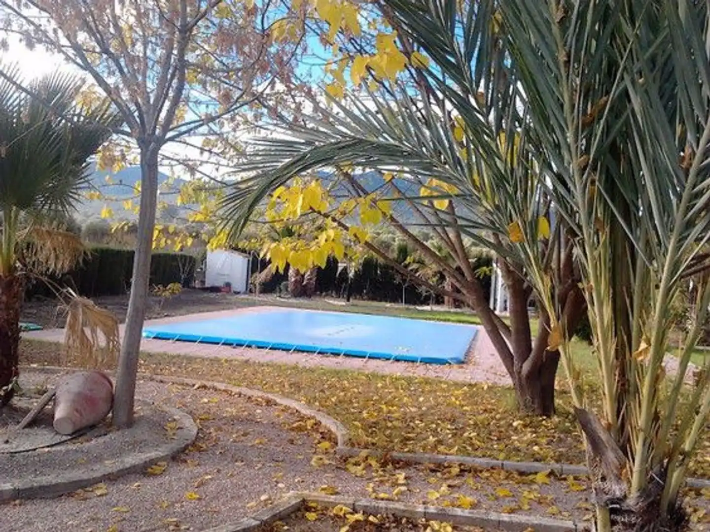 Villa avec piscine à vendre à Moratalla, imagen 7