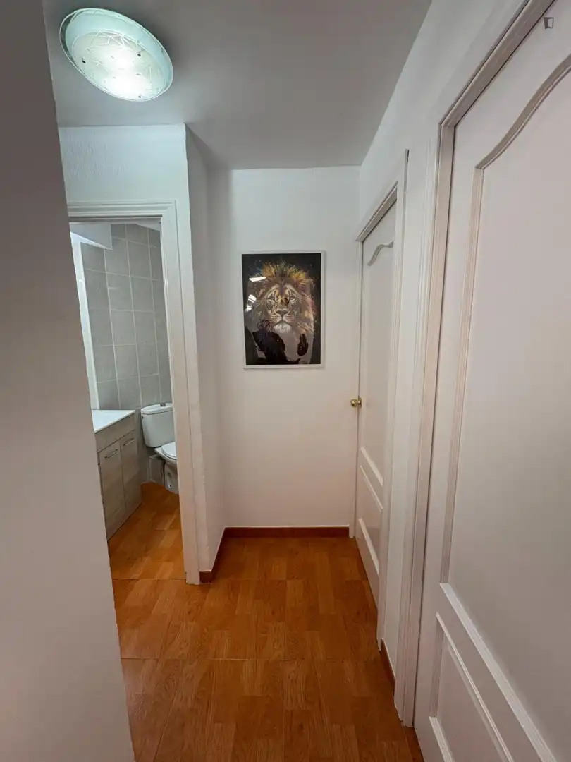 Bany de Apartament per a compartir en Levante