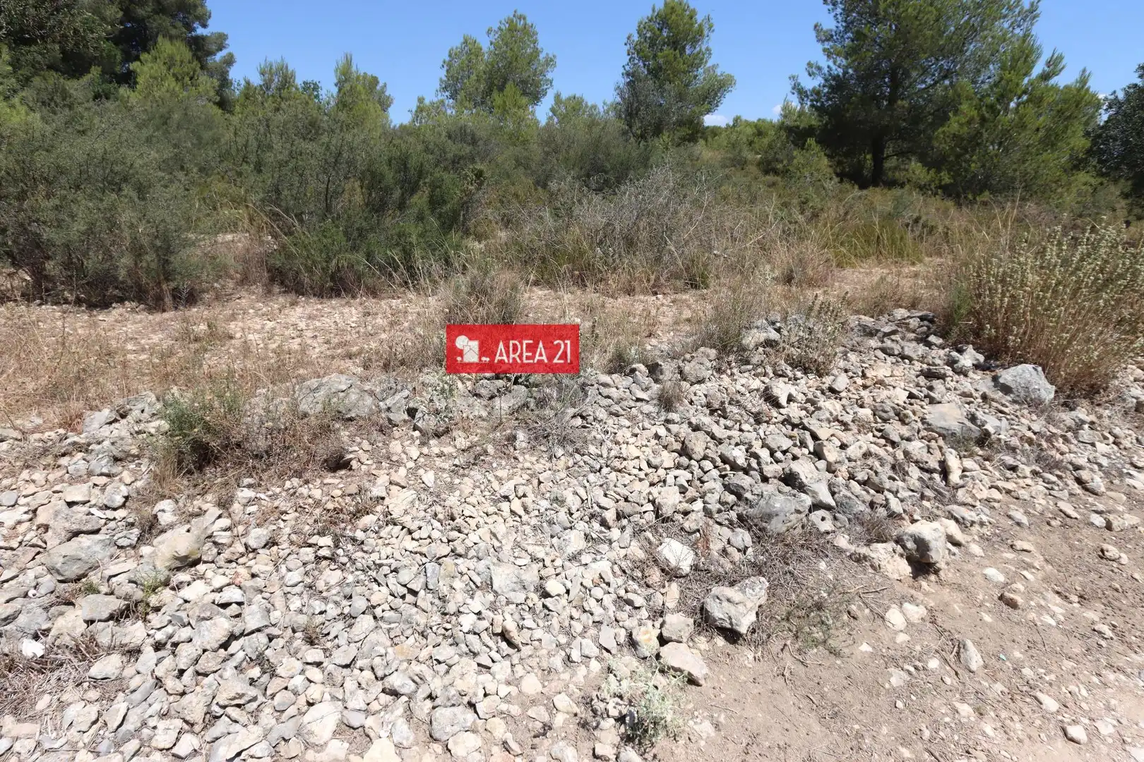 Terreno rústico en venta en Pla dels Aljubs, imagen 5