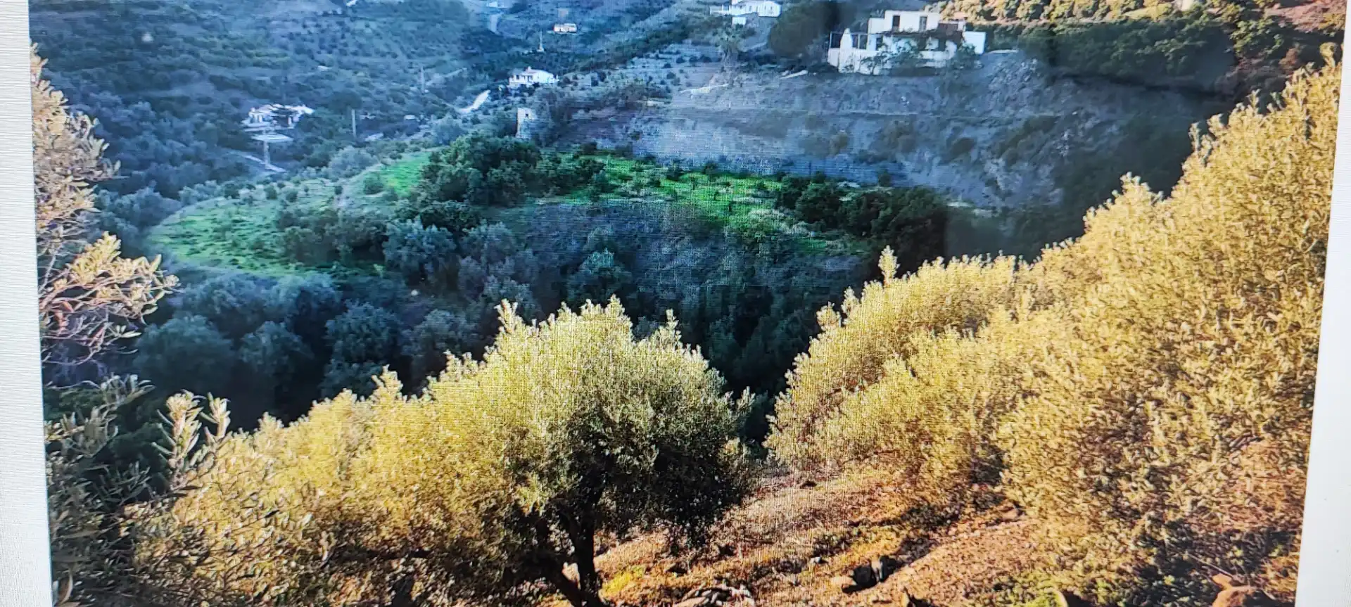 Rural land for sale in Camino de Frigiliana 81, imagen 4