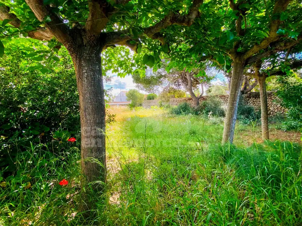 Country homes for sale in Cala Blanca