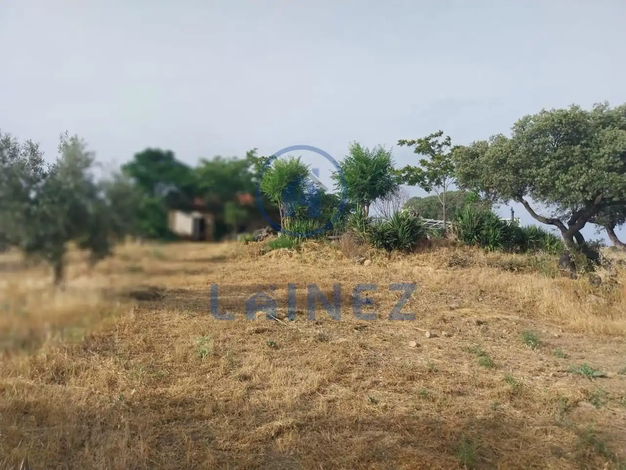 Terreno rustico in vendita a Peñarroya-Pueblonuevo, imagen 44