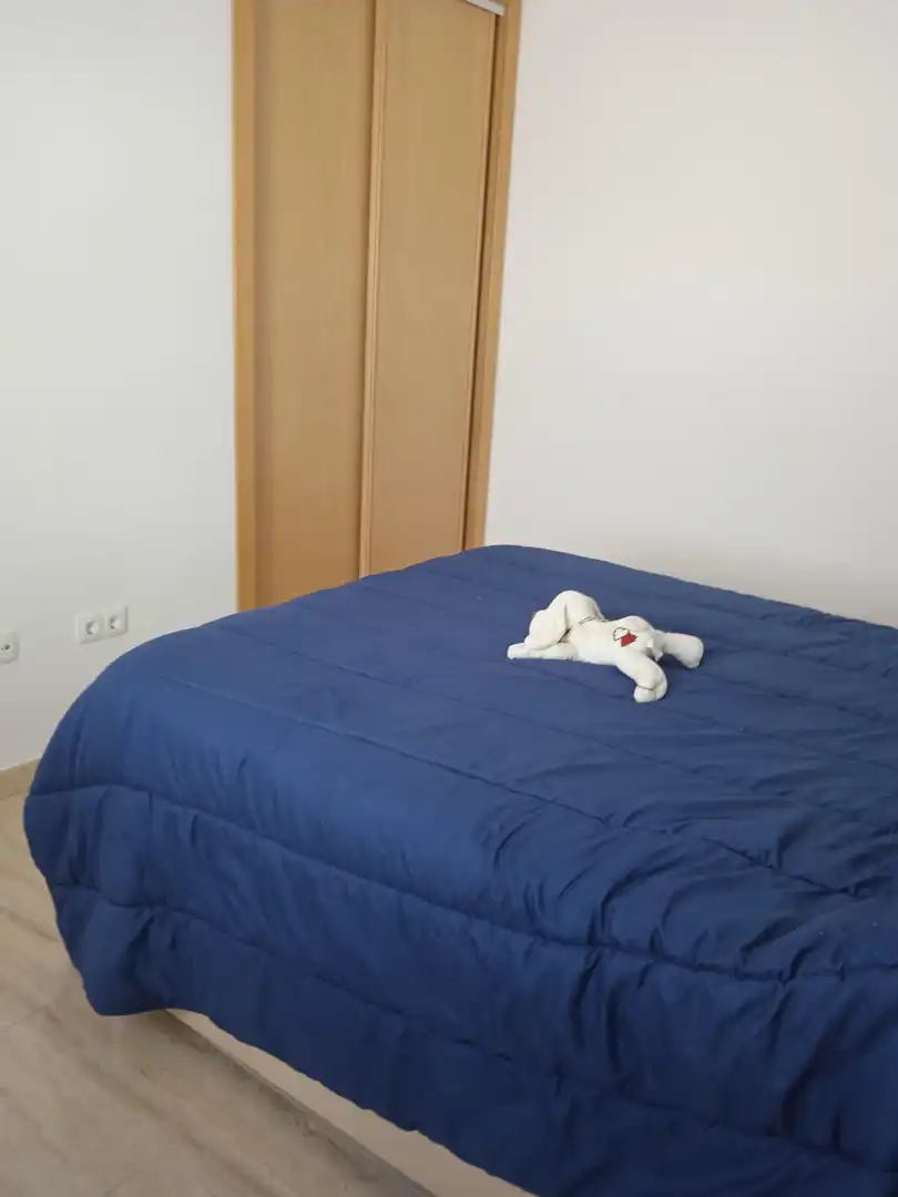 Wohnung zum Verkauf in PEÑUELA, imagen 12