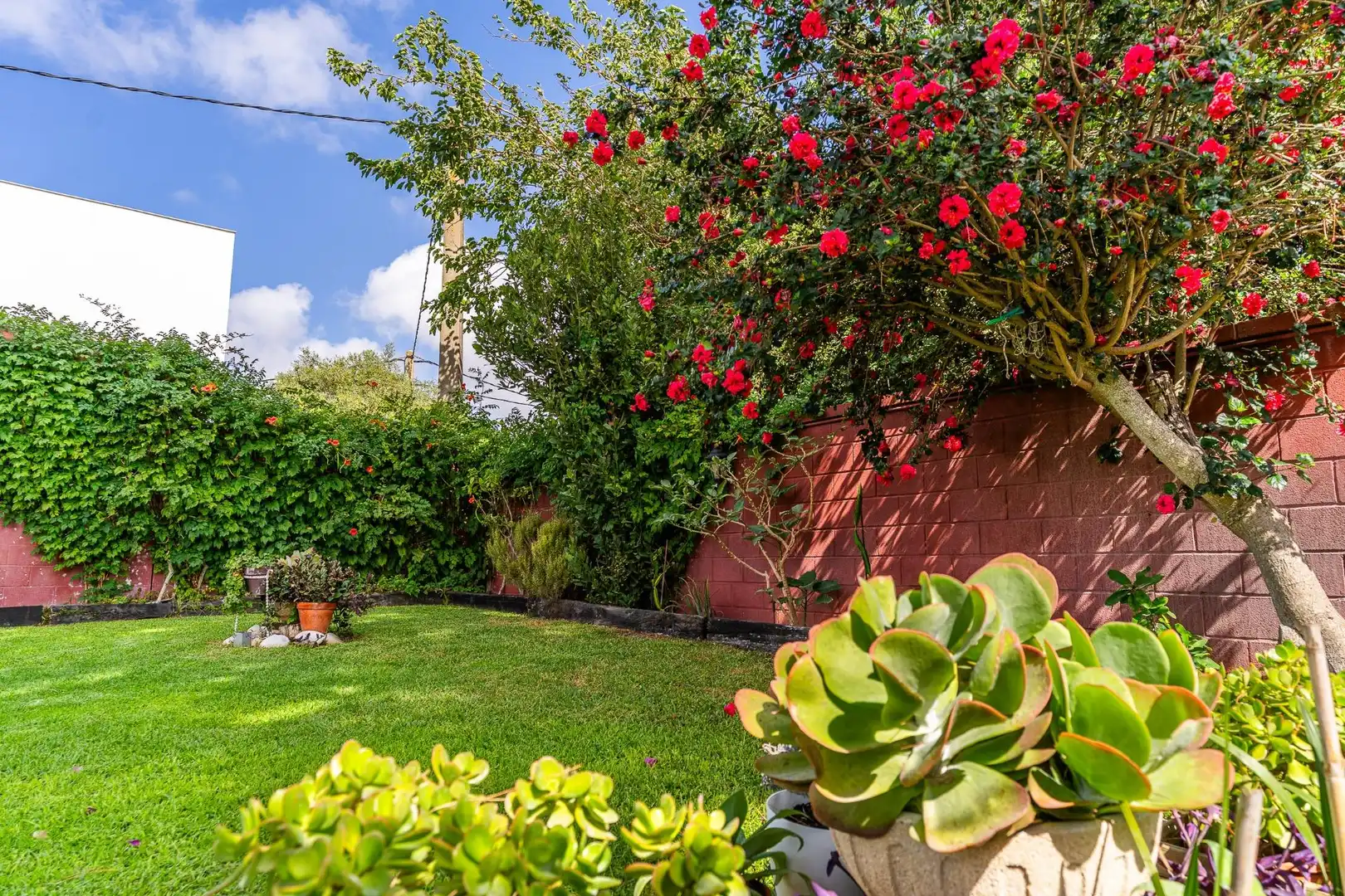 Jardín de Casa o chalet en venta en Chiclana de la Frontera con Jardín privado, Trastero y Piscina