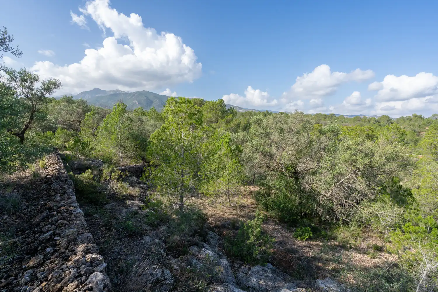 Terrain rustique à vendre à C-12 30, imagen 4