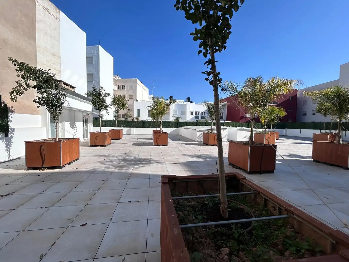 Locale commerciale in affitto a Calle MAESTRO BRETON 4, imagen 26