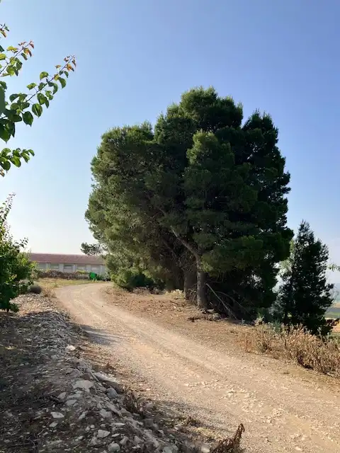 Terreni e lotti in vendita a Fraga, imagen 8