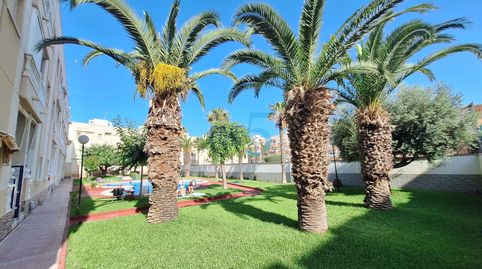 Foto 3 de Estudi en venda a Antonio Machado, Torrevieja