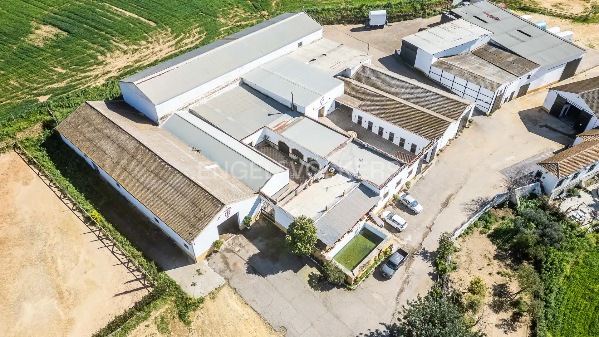 Vista exterior de Casa o chalet en venta en Alcalá de Guadaira con Calefacción y Jardín privado