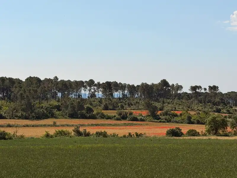 Country house zum Verkauf in La Tallada d'Empordà mit Privatgarten, Terrasse und Abstellraum