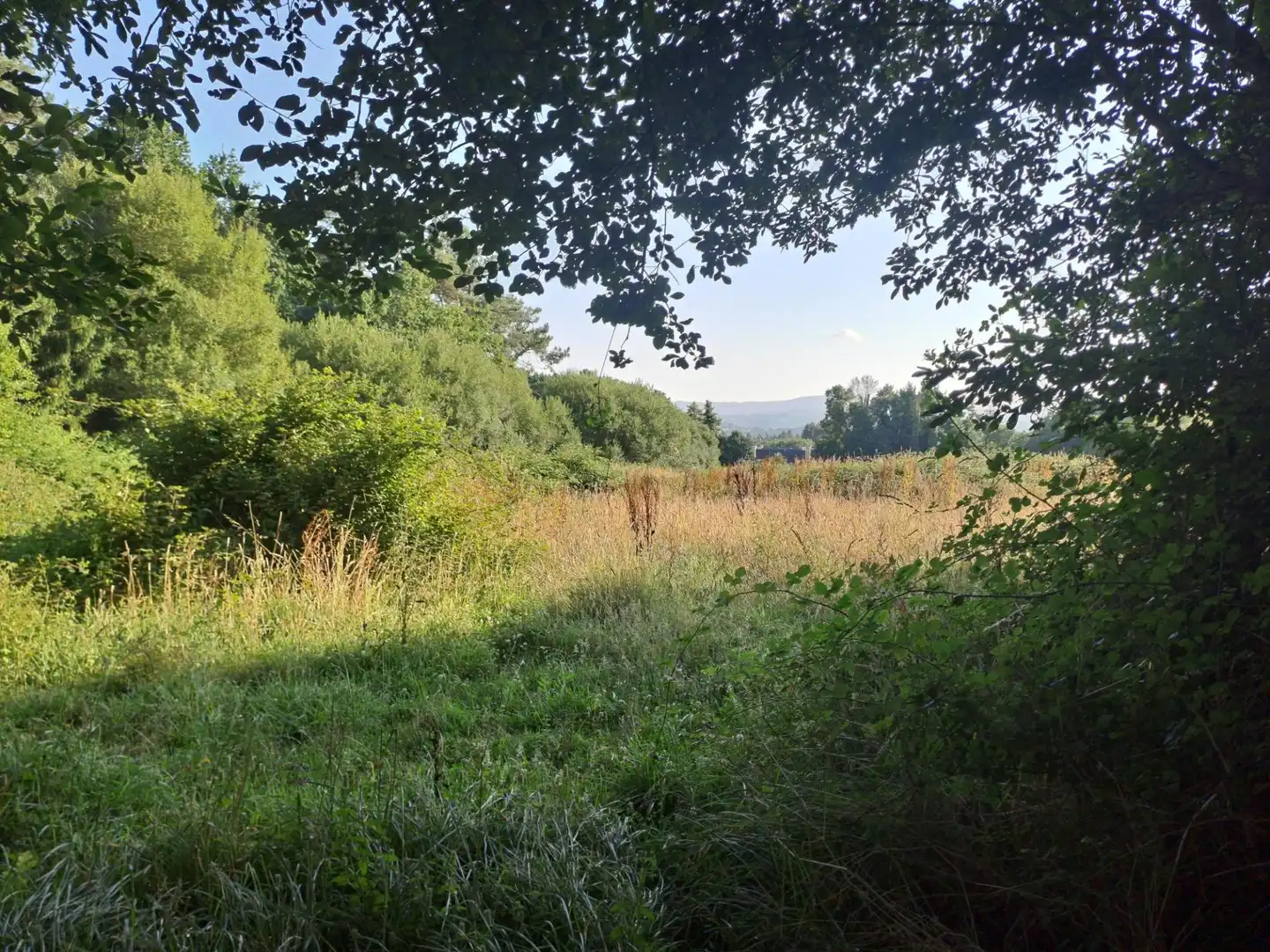 Terreni e lotti in vendita a polig 1 Sau Bd8 Pc M1b1, imagen 2