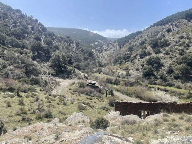 Terreno en Venta en Plaza Filabres, 8 en Bacares