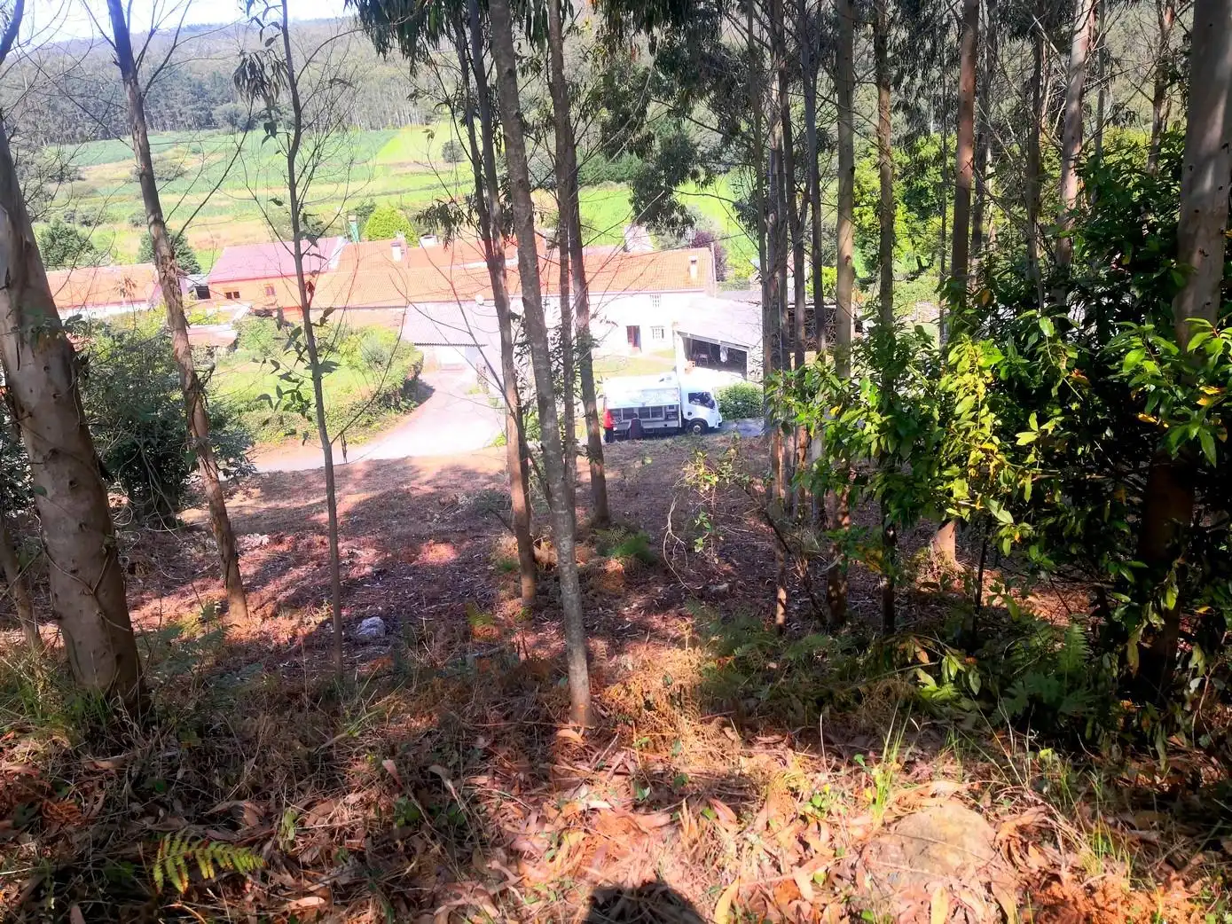 Terreni e lotti in vendita a Malpica de Bergantiños, imagen 11