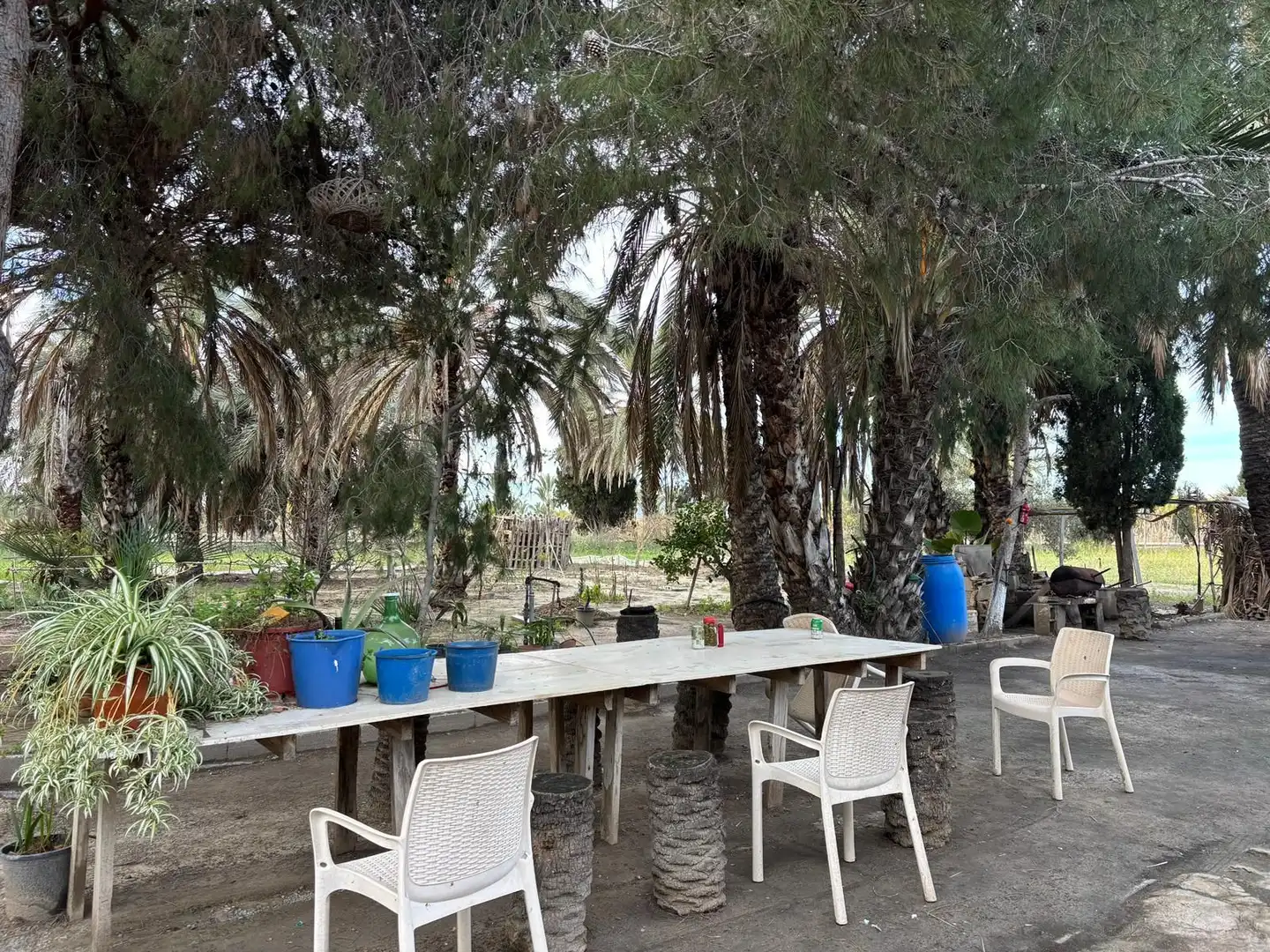 Terrassa de Finca rústica en venda en Elche / Elx