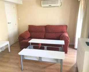 Sala d'estar de Apartament de lloguer en Plasencia amb Aire condicionat i Jardí privat