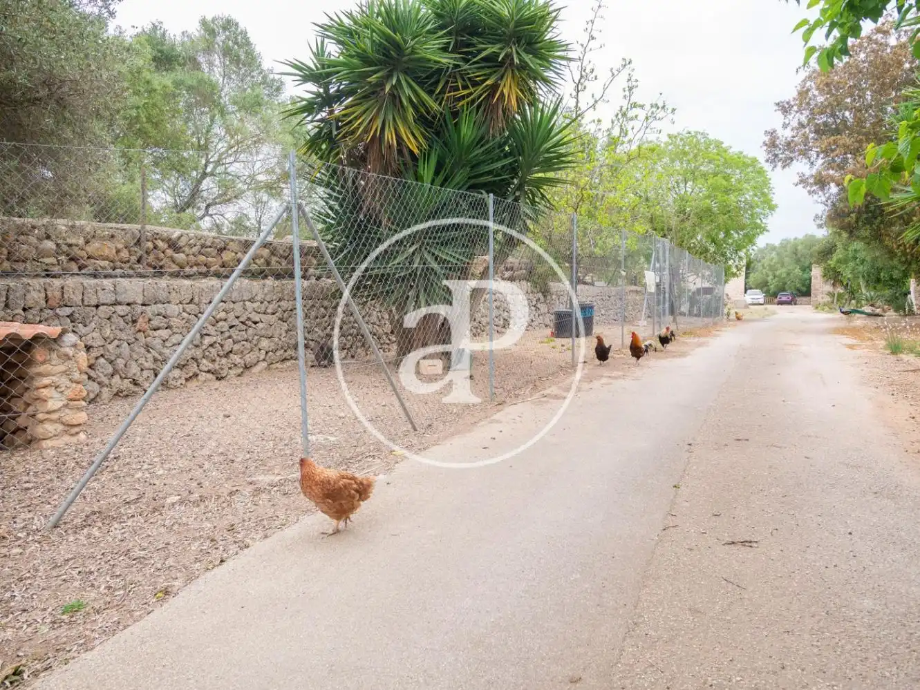 Exterior view of Houses for sale in Lloret de Vistalegre  with Heating, Private garden and Storage room