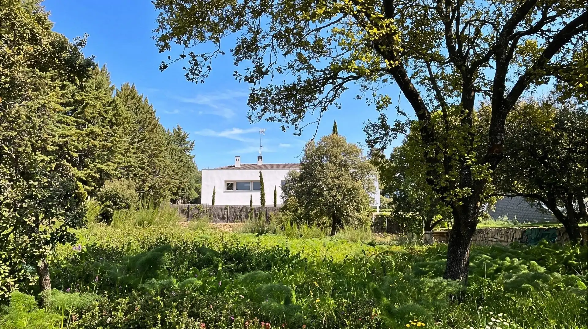 Jardí de Residencial en venda en Galapagar