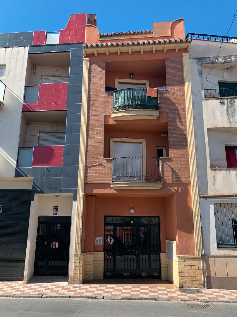 Vista exterior de Apartament en venda en Albolote amb Calefacció, Parquet i Moblat