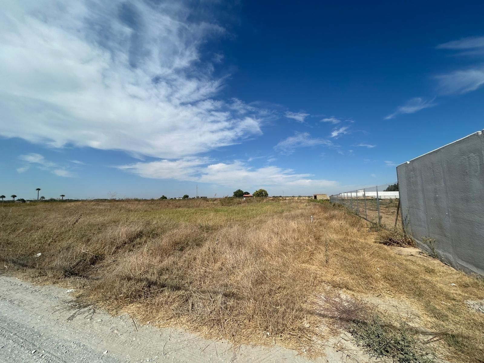 Land for sale in Los Palacios y Villafranca
