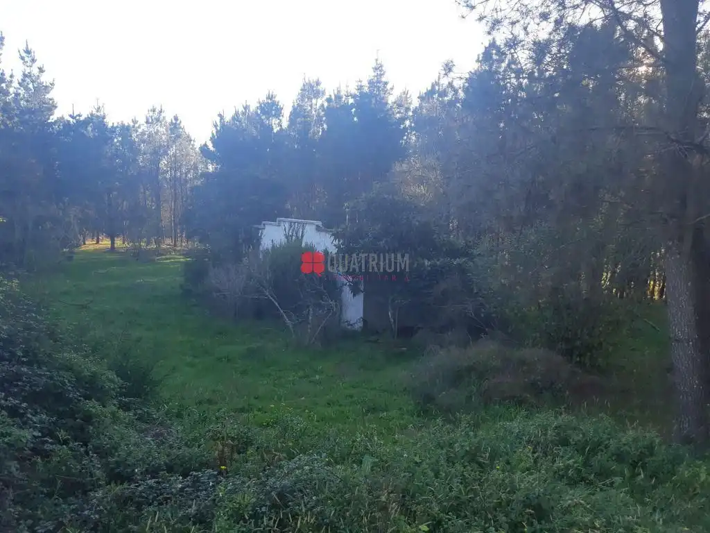 Terreny residencial en venda a Vedra, imagen 4