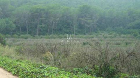 Foto 3 de Terreno en venta en Calle Casella, Urbanitzacions i Pedanies Sud, Alzira