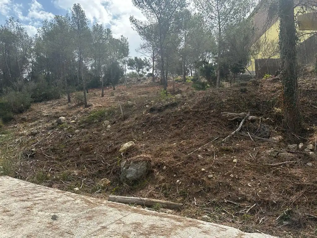 Terreny residencial en venda a Olivella, imagen 5