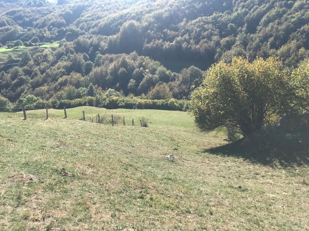 Grundstücke zum Verkauf in Vega de Liébana