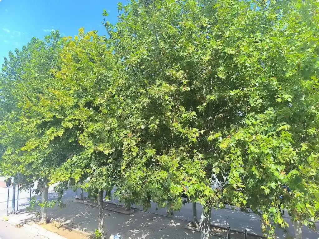 Vista exterior de Piso en venta en Bellreguard con Aire acondicionado, Terraza y Balcón