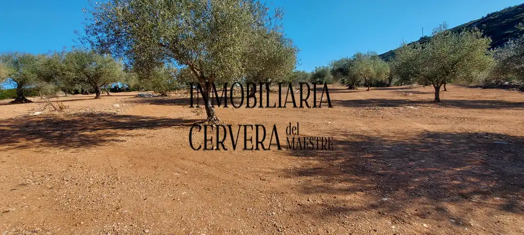 Finca rústica en venda en Cervera del Maestre amb Terrassa