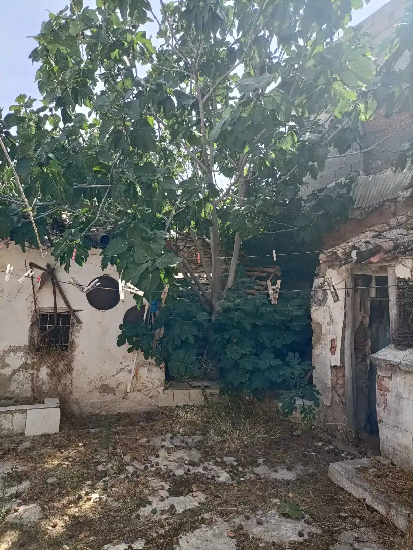 Haus oder Chalet zum Verkauf in Villarrobledo mit Privatgarten, Möbliert und Waschmaschine