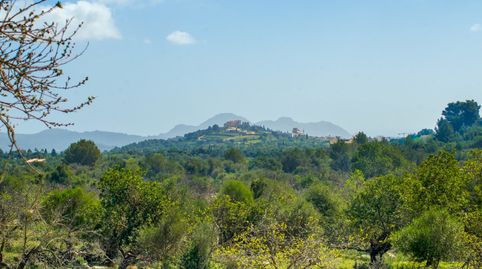 Finca para reformar con un terreno de 160.000 m2 en las afueras de Artà, imatge 3
