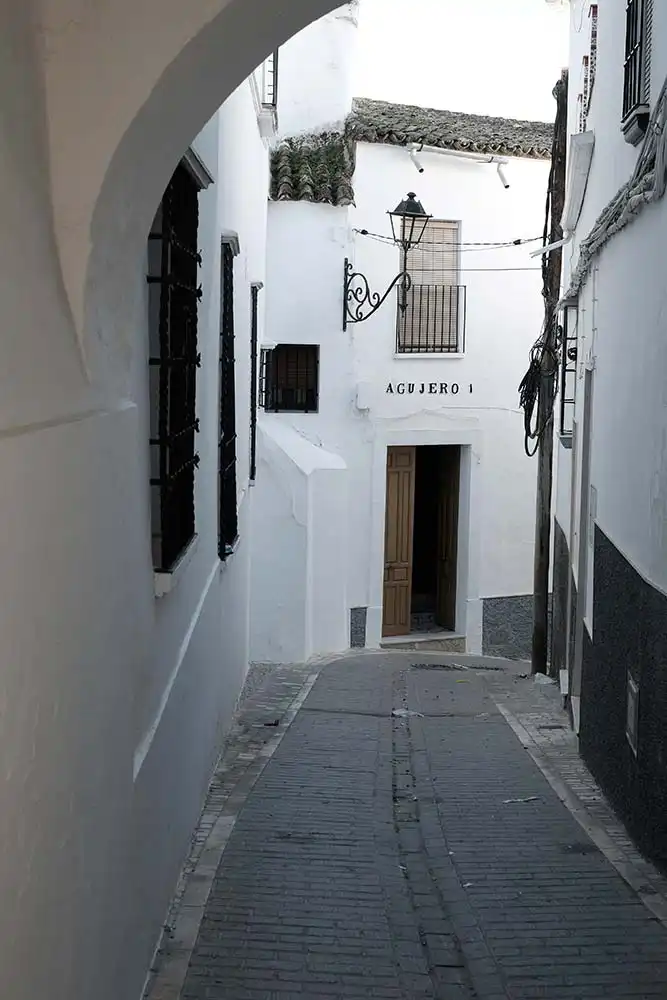 Exterior view of Detached homes for sale in Castro del Río  with Furnished