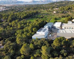 Vista exterior de Nau industrial en venda en Alcúdia