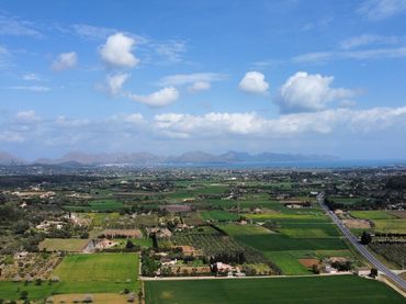 Terreny rústic en venda a Ciutat d'Alcúdia