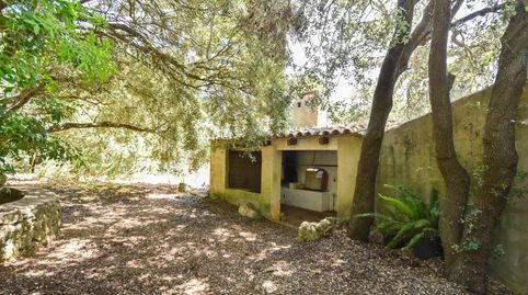 Foto 4 de Finca rústica en venta en Puigpunyent, Illes Balears