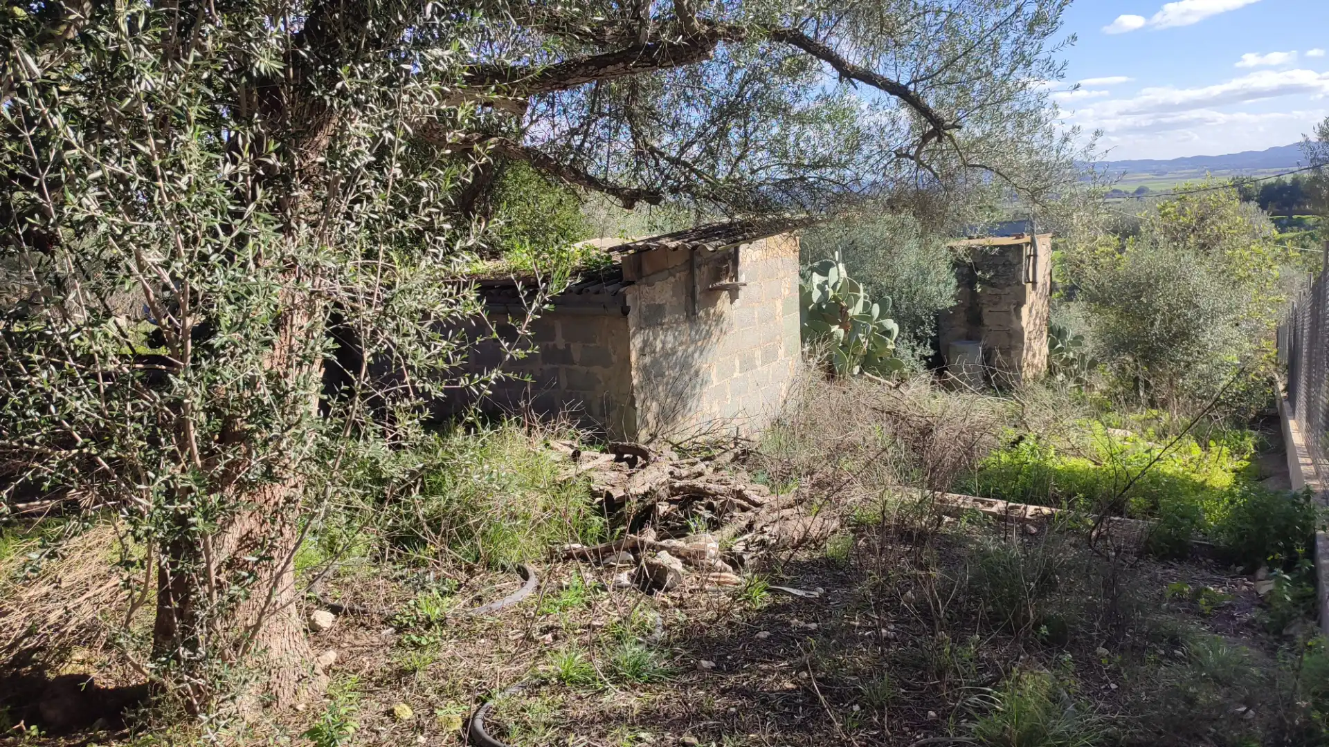 Rural land for sale in Vial Camino 316, imagen 6