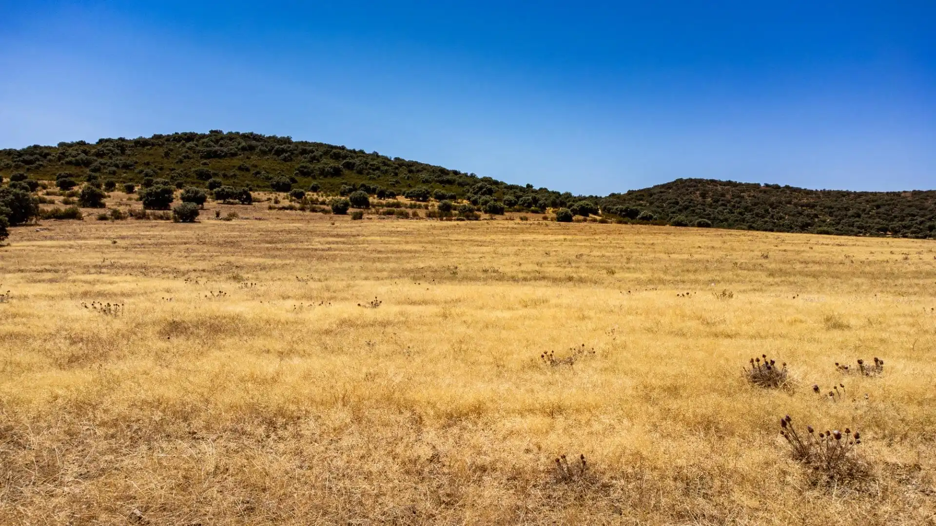 Terreno en venta en Peñarroya-Pueblonuevo