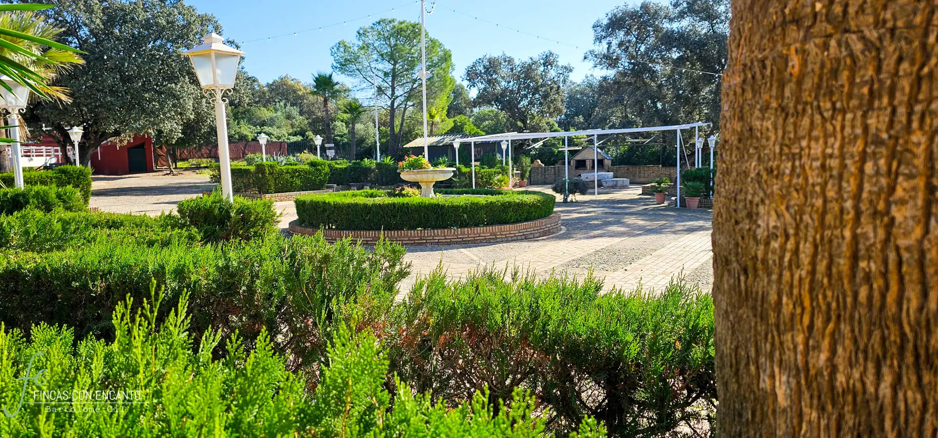 Jardí de Finca rústica en venda en Morón de la Frontera amb Jardí privat, Terrassa i Piscina