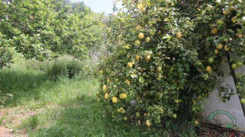 Foto 5 de Casa o xalet en venda a Llanín Llanos, Parroquias Norte, Asturias