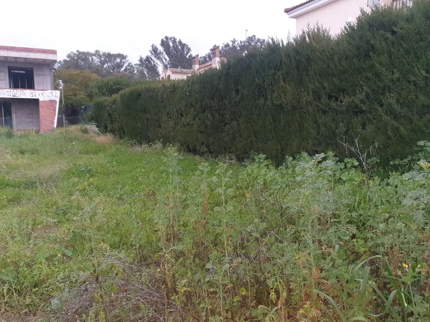 Terrenys i solars en venda a Coria del Río, imagen 2