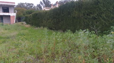 Solar urbano en Coria del Rio, imatge 2