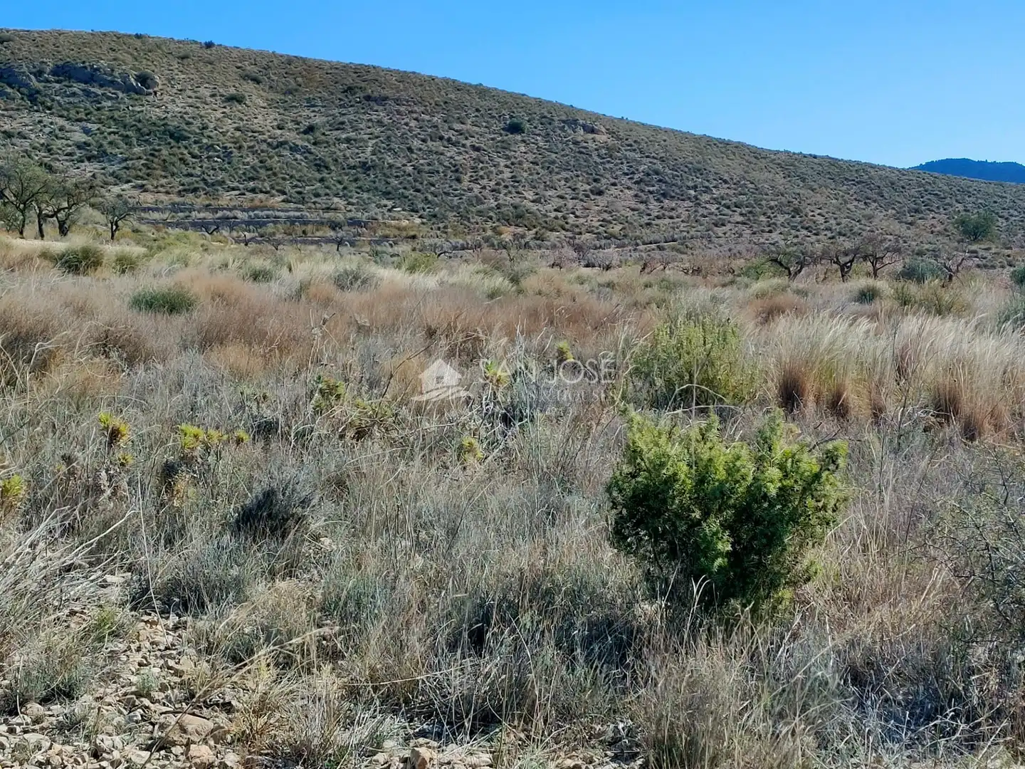 Terreno rustico in vendita a Hondón de los Frailes, imagen 5
