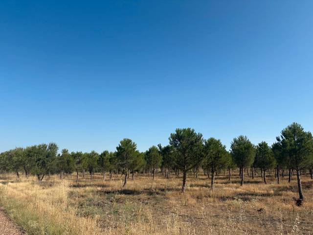 Terreno en Venta en N/A, -1 en Cogeces del Monte