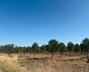 Land for sale in Cogeces del Monte