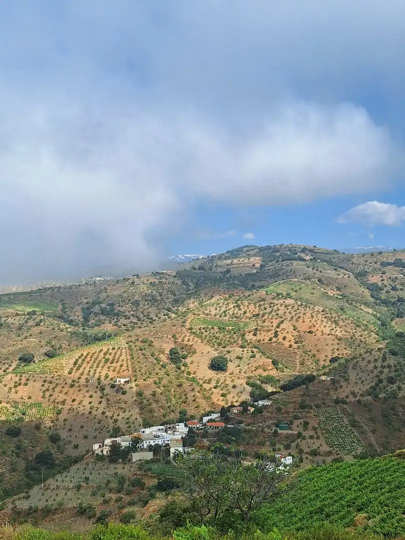 Rural land for sale in Belicena, imagen 15