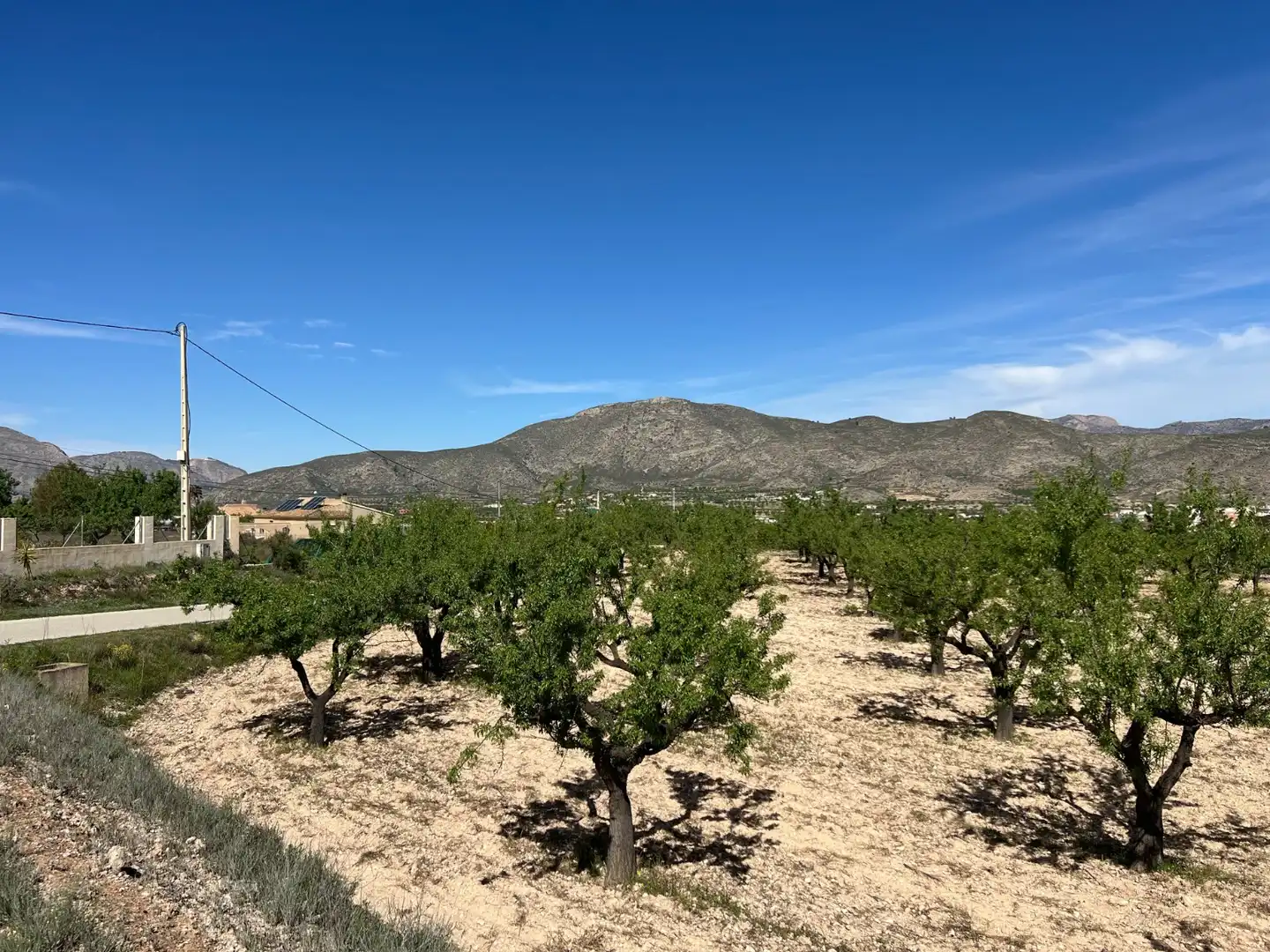 Residential land for sale in Hondón de los Frailes, imagen 11
