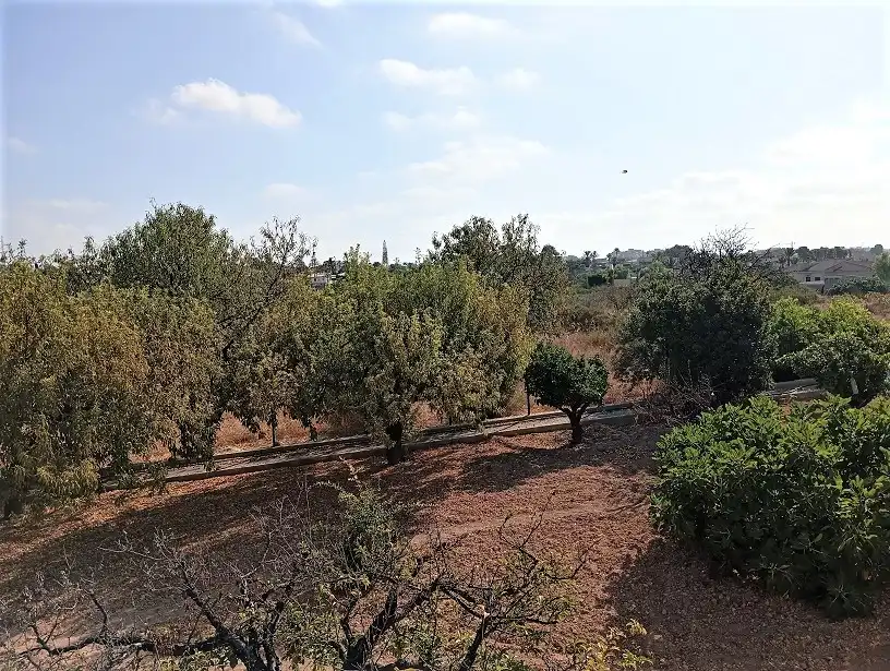 Casa o xalet en venda en Elche / Elx amb Aire condicionat, Jardí privat i Terrassa