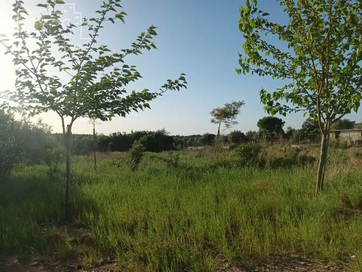 Casa rústica con jardín en venta en Almonte ciudad, imagen 2